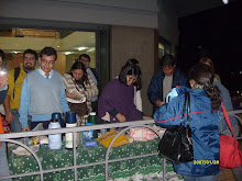 INTEGRANTES DE MIRE TRABAJANDO