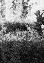 El rincón de lo que veo