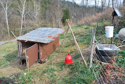 chicken coop in st joseph michigan 9