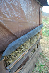 coop chicken pleasant frankfort kentucky camp