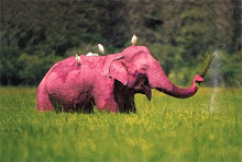 .pink elephant.