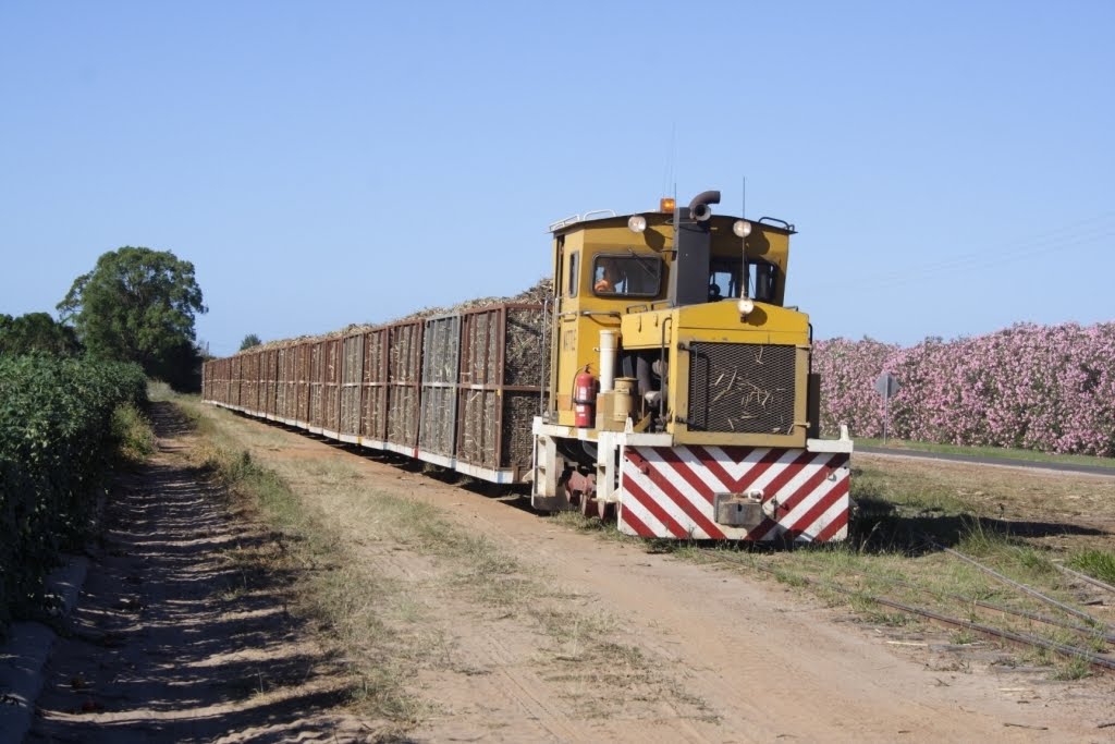 Silkwood Depot North Queensland Interlude.....