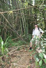 Fun Guy in the Jungle