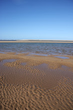 Sandy Shore Inlets