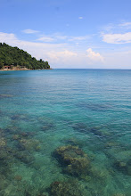 Reef Filled Waters