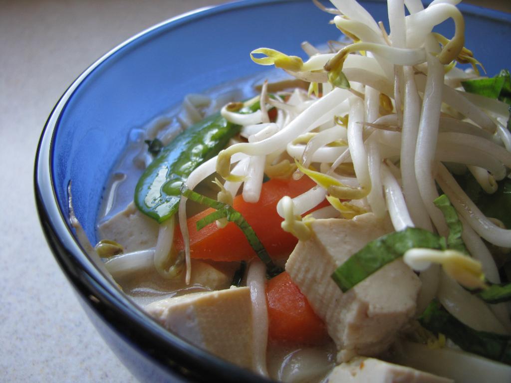 the gd kitchen thai tofu noodle soup