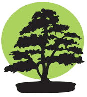 Creating Wellness Blog: More Resources, More Versions Loving Kindness ...