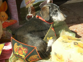 camillo