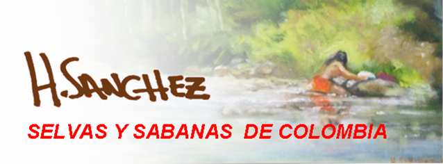 SELVAS Y SABANAS DE COLOMBIA