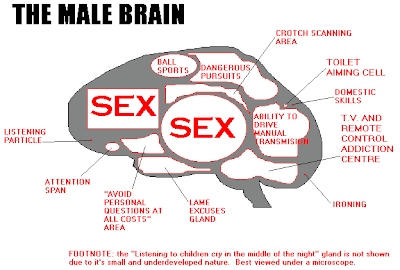 male_brain.gif