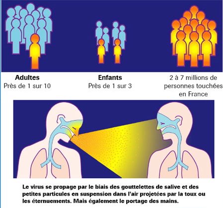 Contagiosité du virus grippal saisonnier