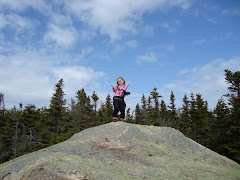 Whiteface, March 2009