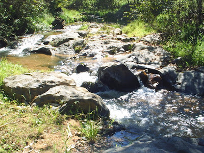 Desenfoques!! Atempan!!