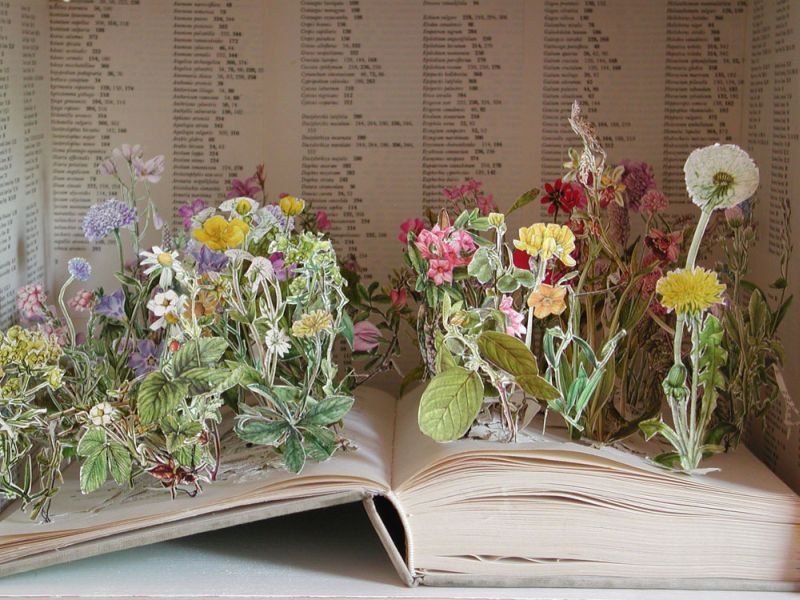 [book_art_005.jpg]