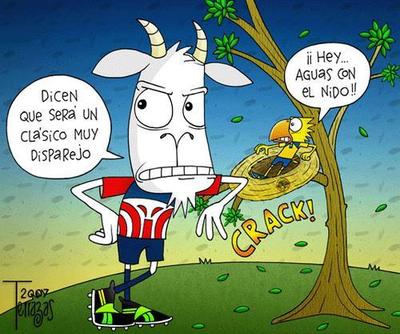 anel's writing: soccer " las chivas