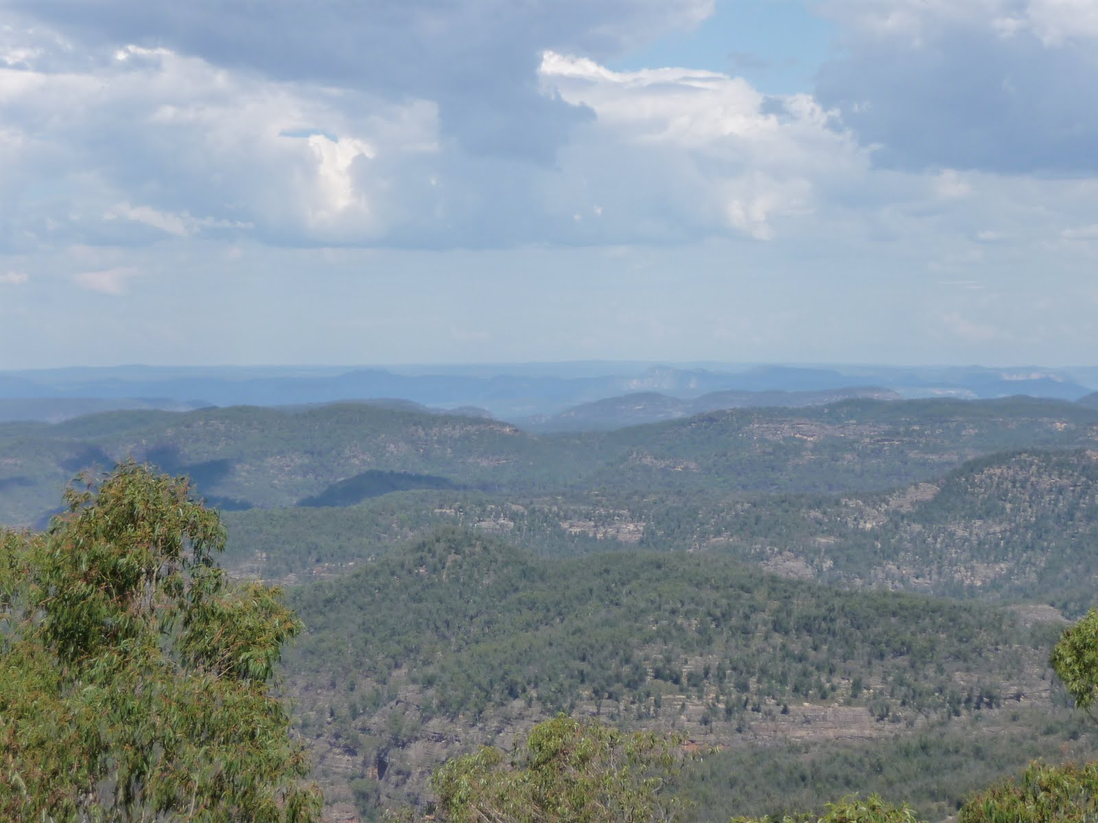 the-first-north-to-south-traverse-of-the-wollemi-np-w-traverse