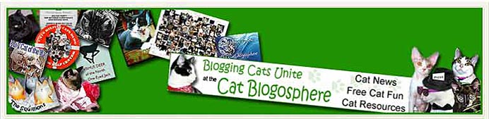 Cat Blogosphere in Exile