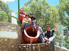 cartonera