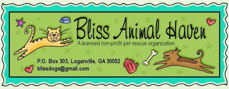 Bliss Animal Haven Adoptable Pets