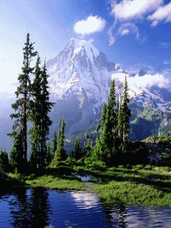 [nature+12.gif]