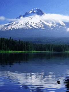 [nature+03.gif]