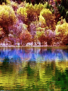 [nature+12.gif]