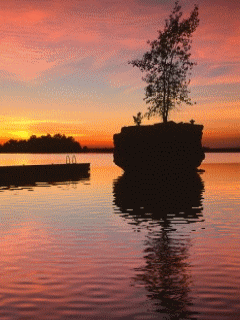 [nature+19.gif]