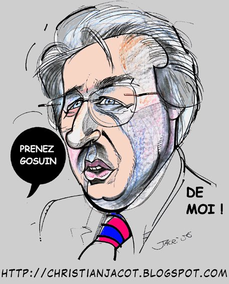 Didier Gosuin