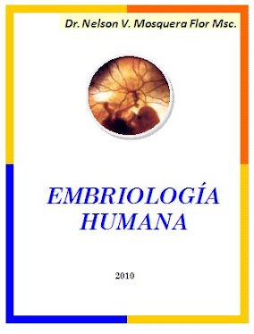 Embriología Humana