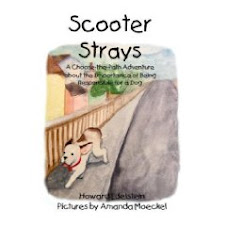 Scooter Strays
