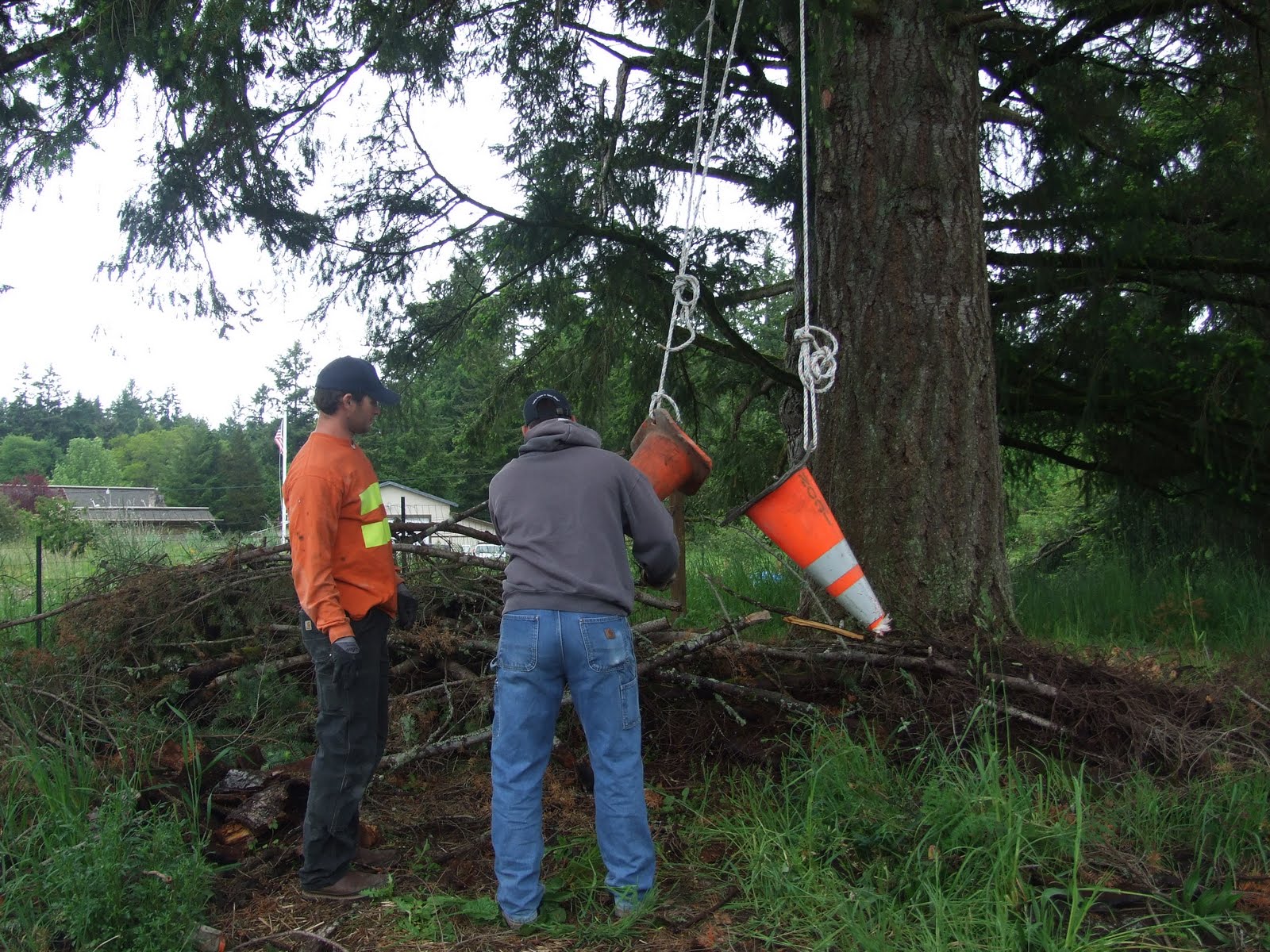 Willow Farm The many uses for traffic cones...