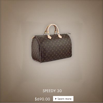 Louis Vuitton Iconic Speedy Price Went Down |In LVoe with Louis Vuitton