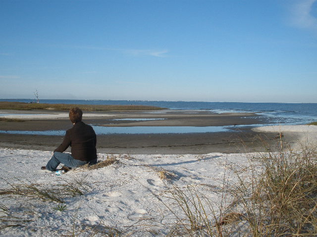 Gulf Coast in February