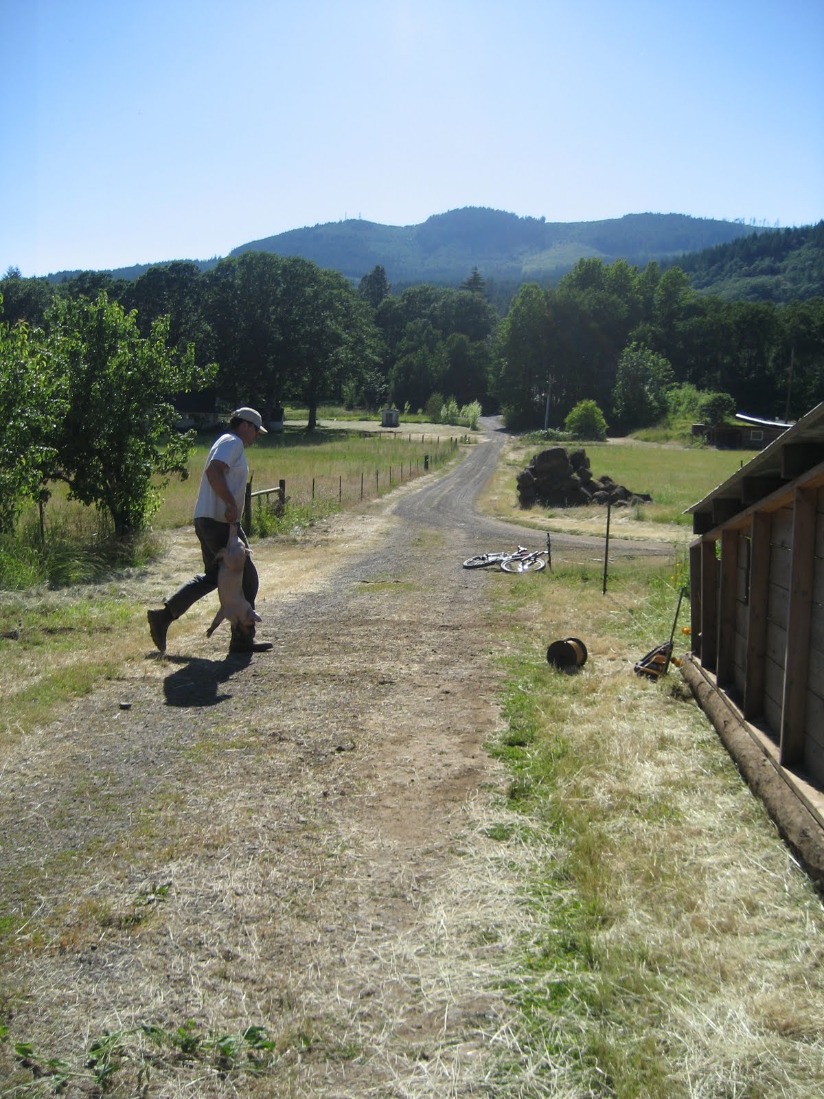 Davis Family Farm