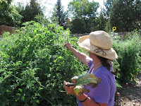 Organic Gardener