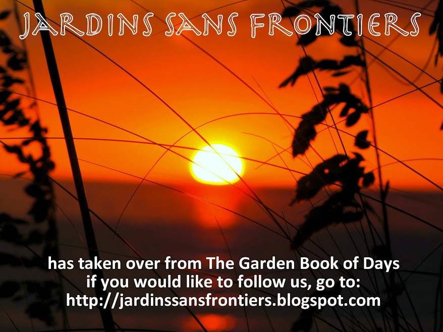 The Garden Book of Days Plants give us oxygen