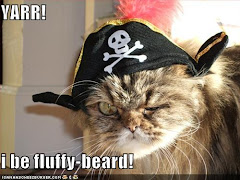 The 2nd Official Captain Crab's High Seas Adventures Cat