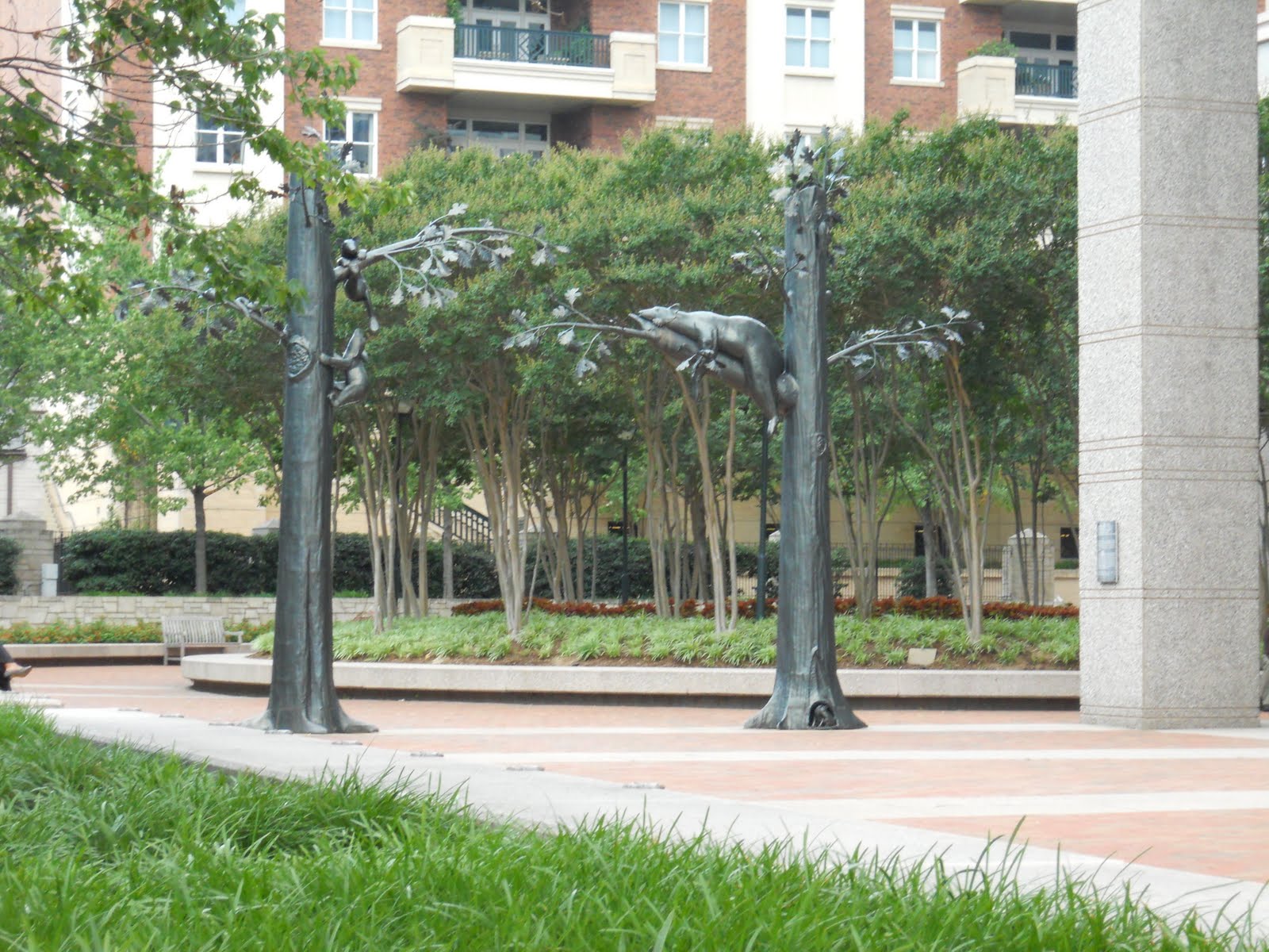 Nick's travel Charlotte, city of trees