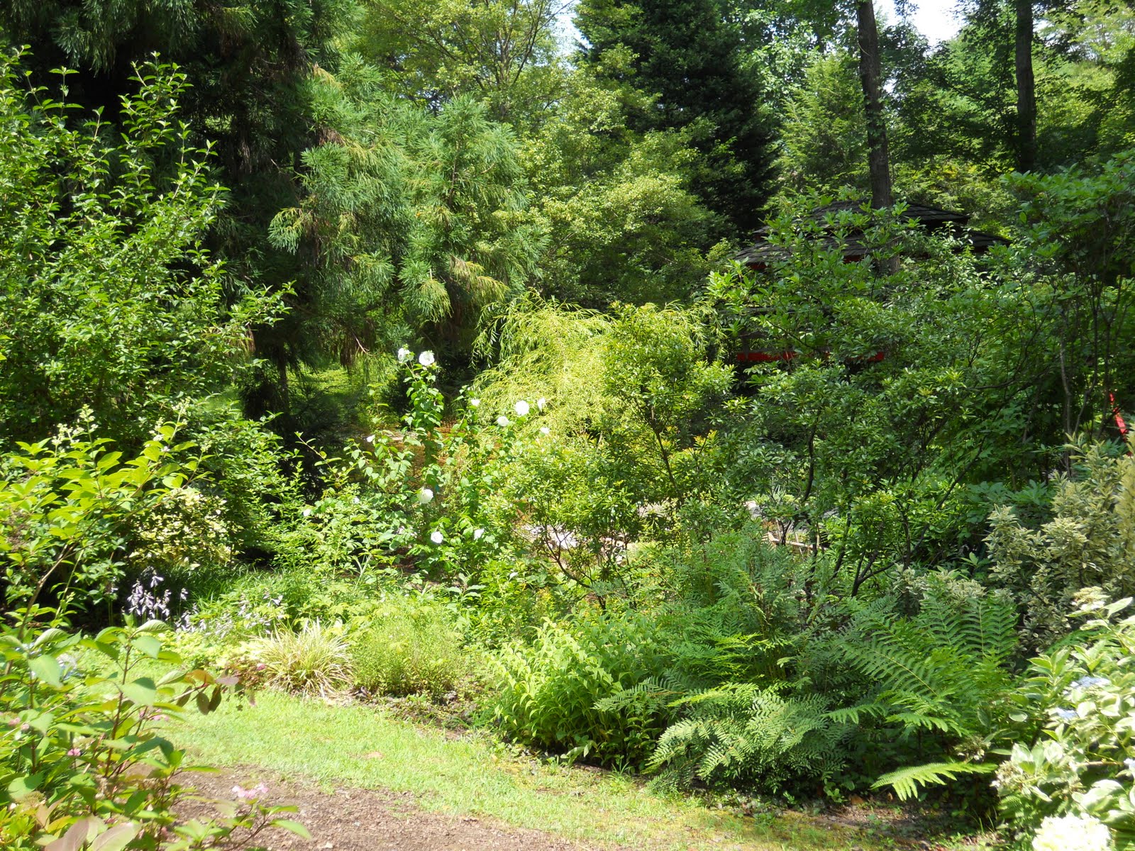 Nick's travel Charlotte, city of trees