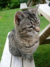 THE GREAT DIXTER CAT ...