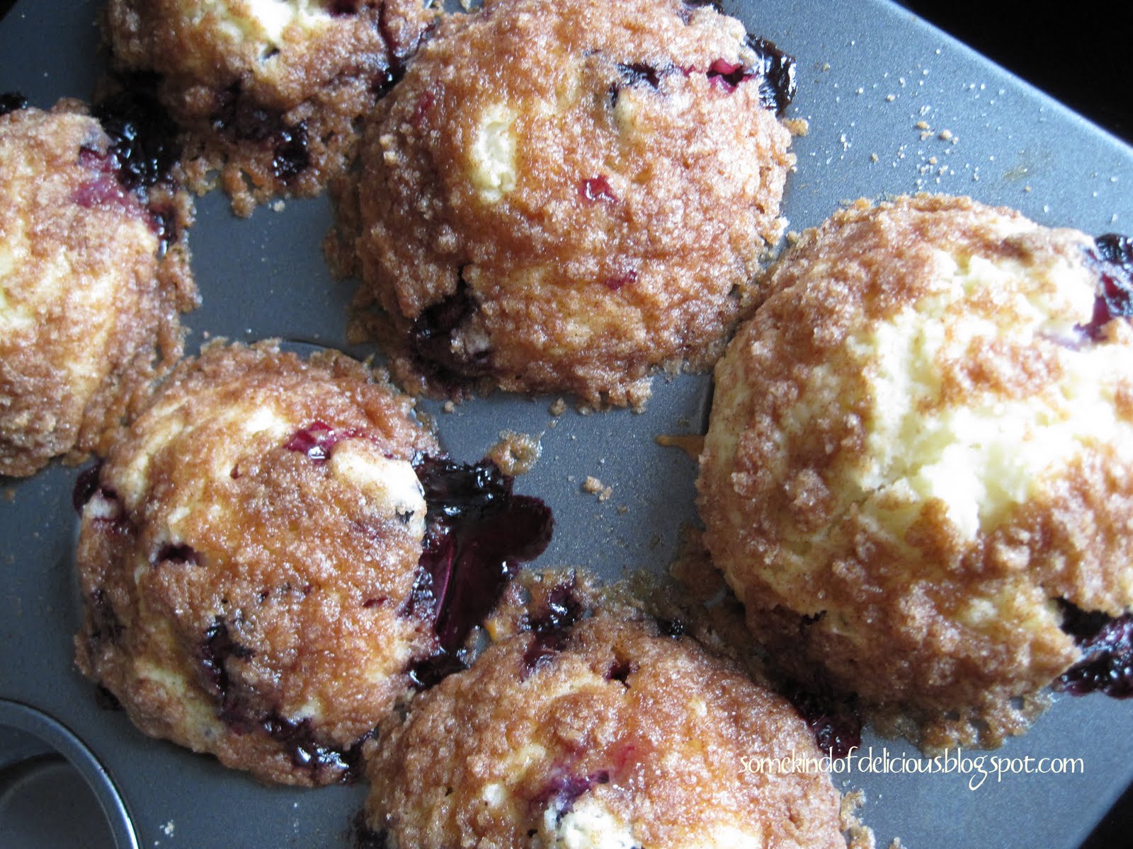 Homemade Blueberry Muffins 15