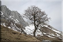 Ascenso a Los Alanos