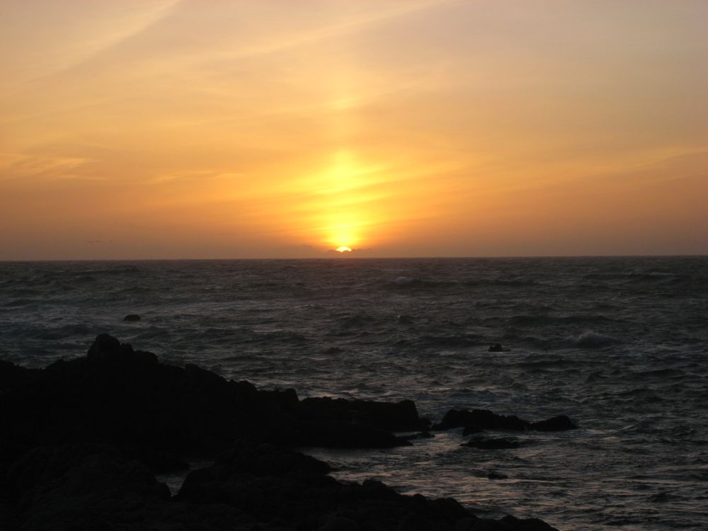 [IMG_6156.jpg]