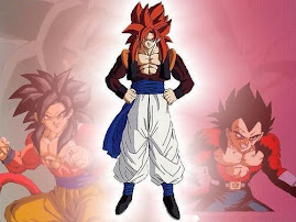 DRAGON BALL Z