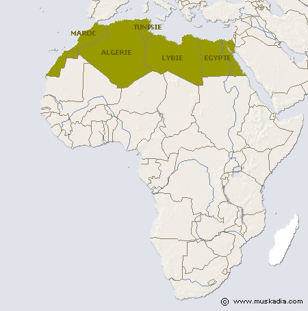 Telecoms & Ntic Afrique Régulation: Tunisie Telecom. 5e ...