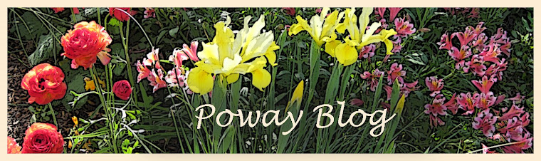 Poway Blog