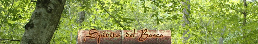 Spirito del Bosco