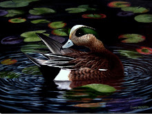 American Widgen