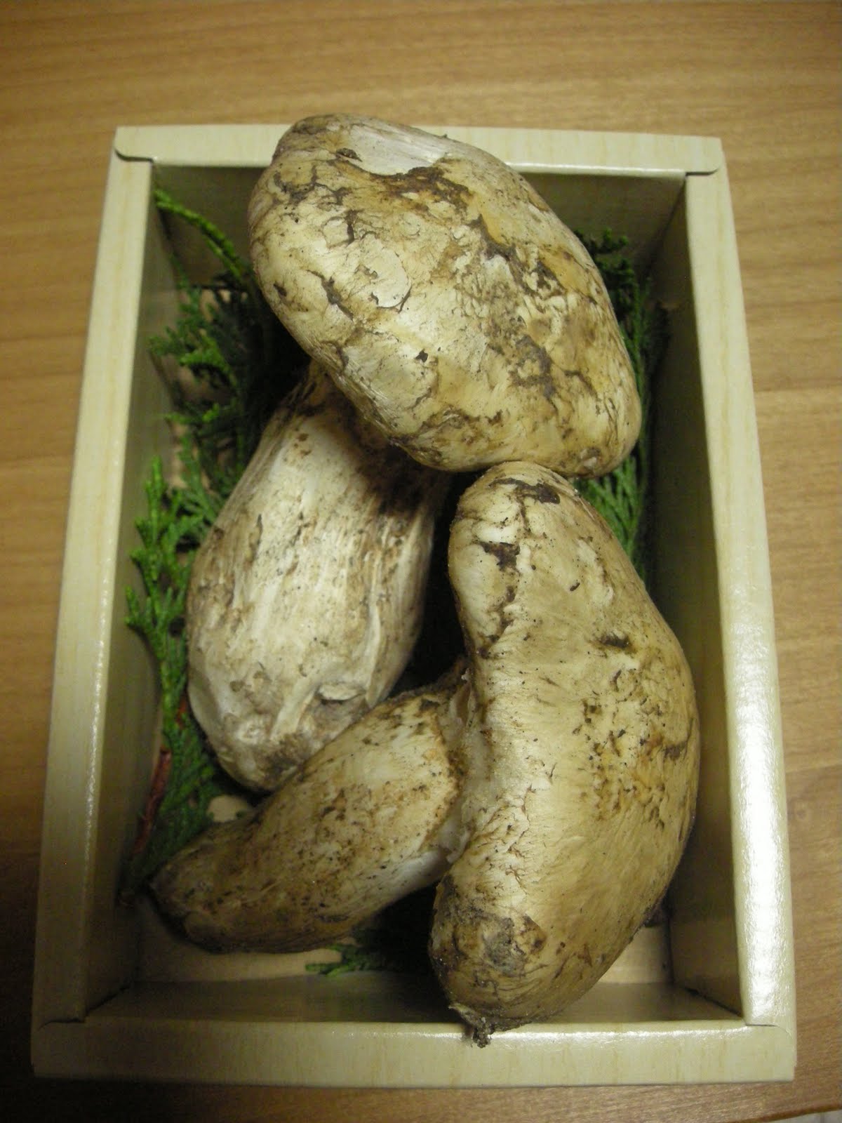 Akimiのフランス語でおしゃべりしたい! le champignon champion "Matsutaké"♪松茸～♪