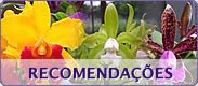 Orquidario Confiavel / Mudas belissimas... postarei fotos